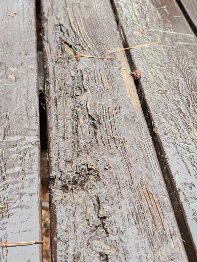 Loose and rotting deck boards on a vacation home near Traverse City